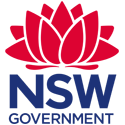NSW Government SEO