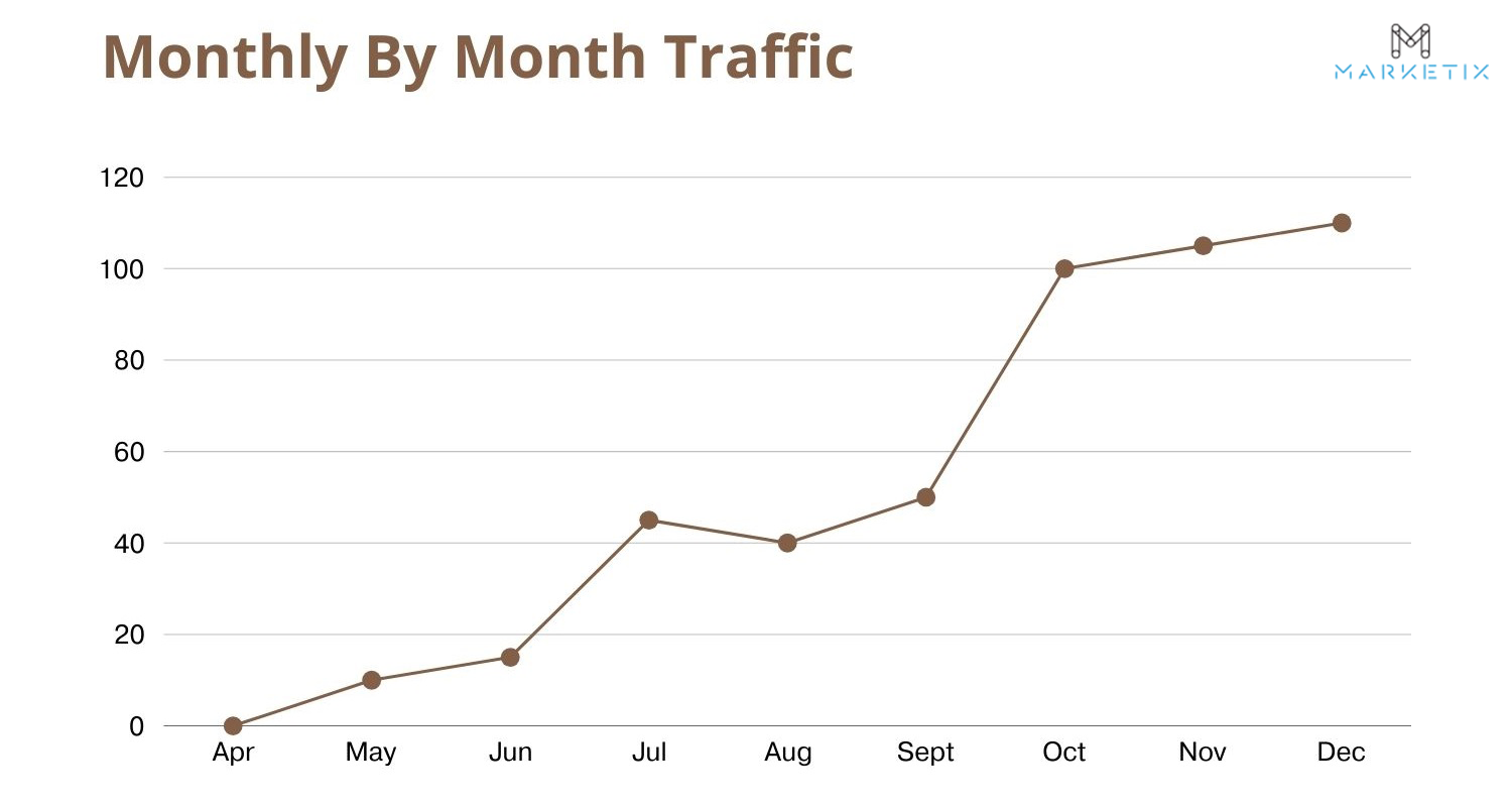 Month by month traffic increase on the website